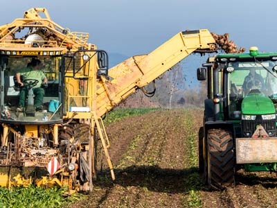 svk-landwirtschaftliche-sachverstaendige